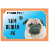 Mops