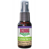 Catnip spray KONG z kategorie Chovatelské potřeby a krmiva pro kočky > Hračky pro kočky > Kočičí tráva a bylinky