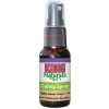 Catnip spray KONG