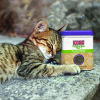 54879 1 catnip premium kong 62g
