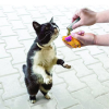 54972 1 catnip pro kocky 3ks kong