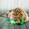 55065 2 hracka cat wubba wicker mix kong