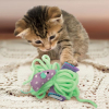 55365 3 hracka cat pull a partz yarnz kong 1 ks
