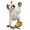 55416 1 hracka cat pull a partz mys a syr kong