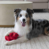 multipet PlushGlobletLifestyle