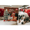 Nobby XMAS adventní kalendář pro psy 265g1