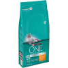 Purina ONE BIFENSIS s kuřetem a celozrnné obilniny 6kg 2