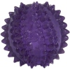 JW Bristl-ee Cactus Ball