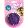 JW Bristl-ee Cactus Ball