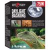Repti Planet Daylight Basking Spot Lampe 75 W