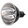 Repti Planet Dome Beleuchtung 14 cm