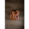 ALMI Medium Adult 12kg – 3