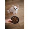 ALMI Puppy & Mini Junior 3kg – 3