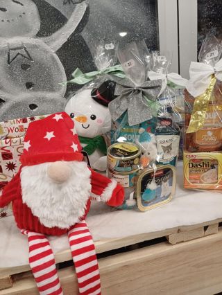 Čau tady Zipi!💚 🎄Vánoce u nás už začaly! 🎁 Na prodejně máme hotové dárkové balíčky pro vaše chlupáče – psí i kočičí. Stačí...