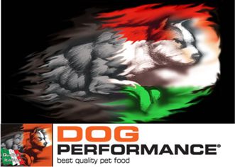 DOG PERFORMANCE 