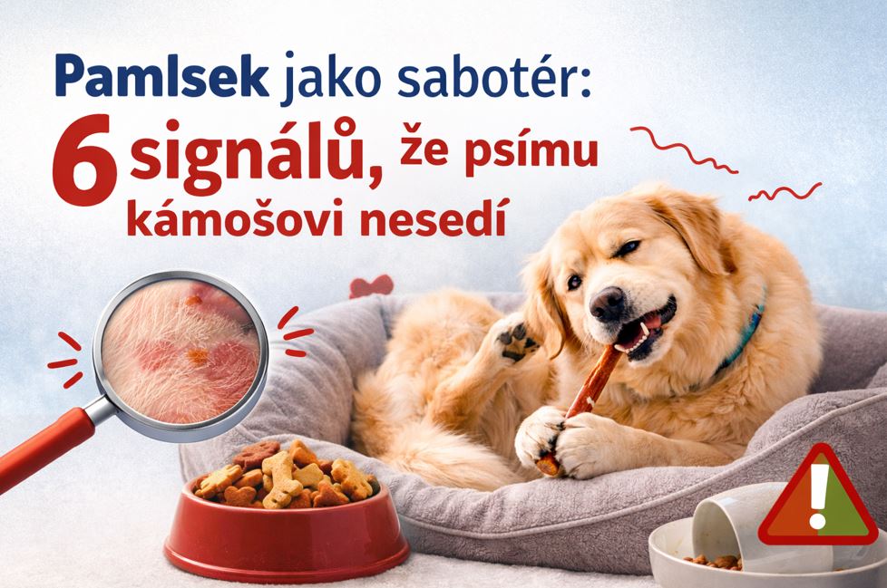 Pamlsek, který škodí? 6 varovných signálů alergie a co s tím