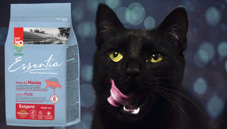 essentia-granule-cat-exigent-