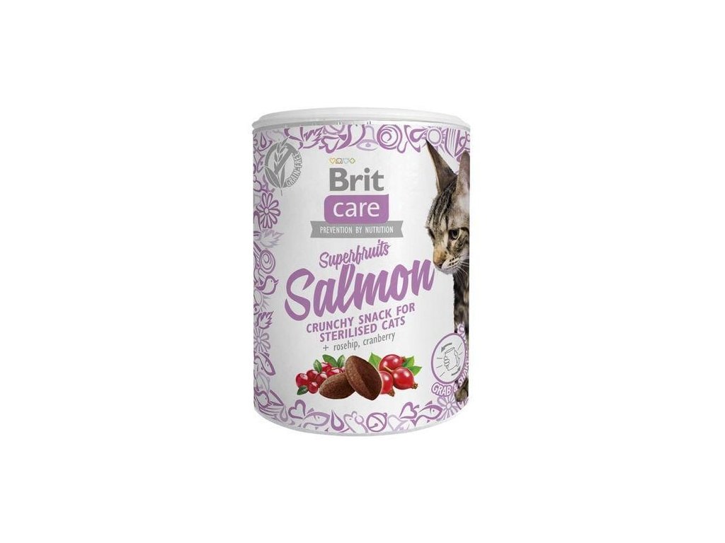 4620 brit care cat snack superfruits salmon 100g