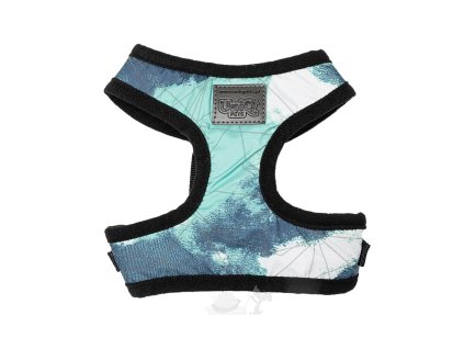 postroj pro malé psy