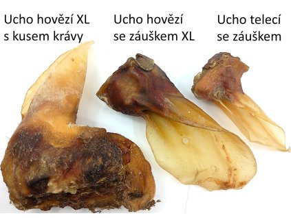 ucho hovezi susene