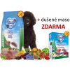holisticke-granule-renske-grain-free-kruti