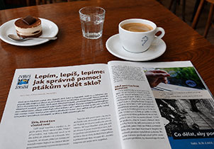 Lepím, lepíš, lepíme: jak správně pomoci ptákům vidět sklo?
