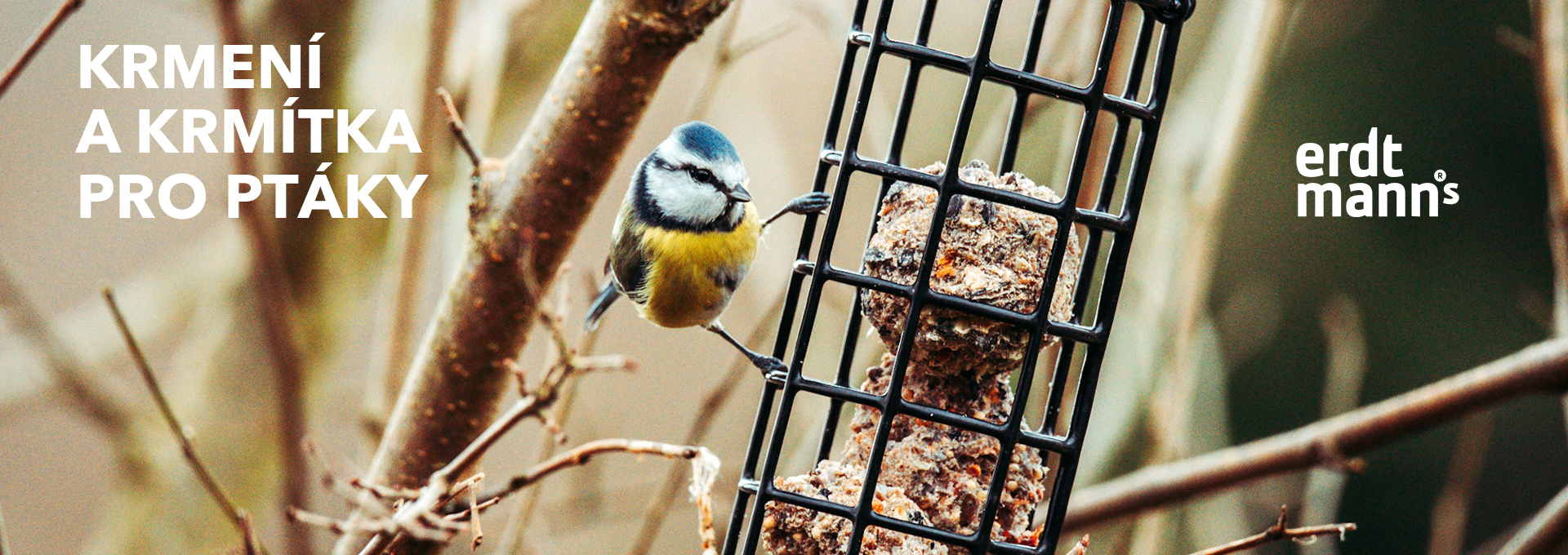 Krmení a krmítka Erdtmann's