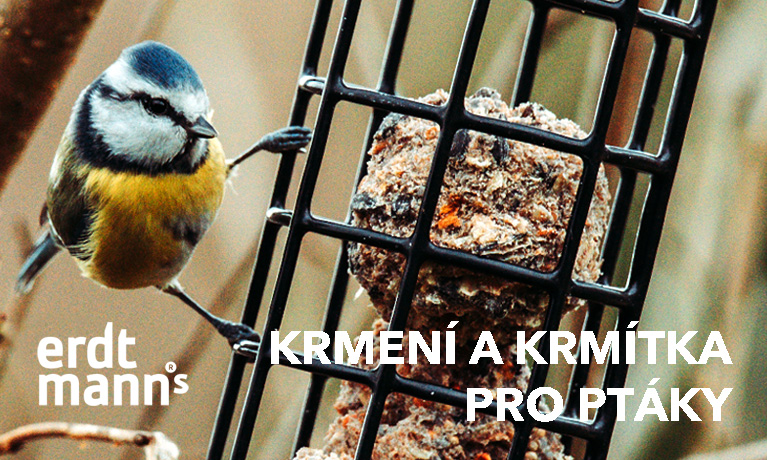 Krmení a krmítka Erdtmann's