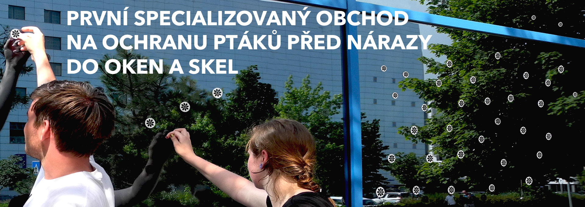 Samolepky na okna pro ochranu ptáků před nárazy do oken a skel