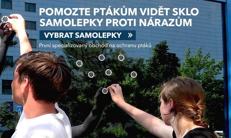 Samolepky na okna pro ochranu ptáků před nárazy do oken a skel