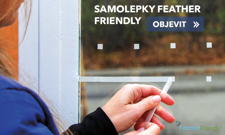 Chraňte ptáky samolepkami Feather Friendly – účinné řešení proti nárazům ptáků do oken