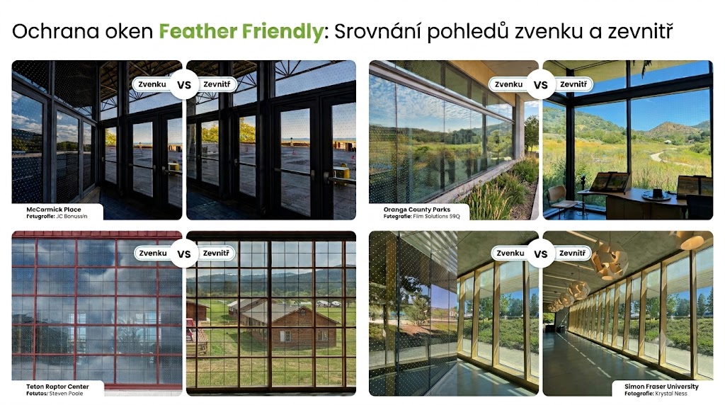 Blog_FF_pohledy