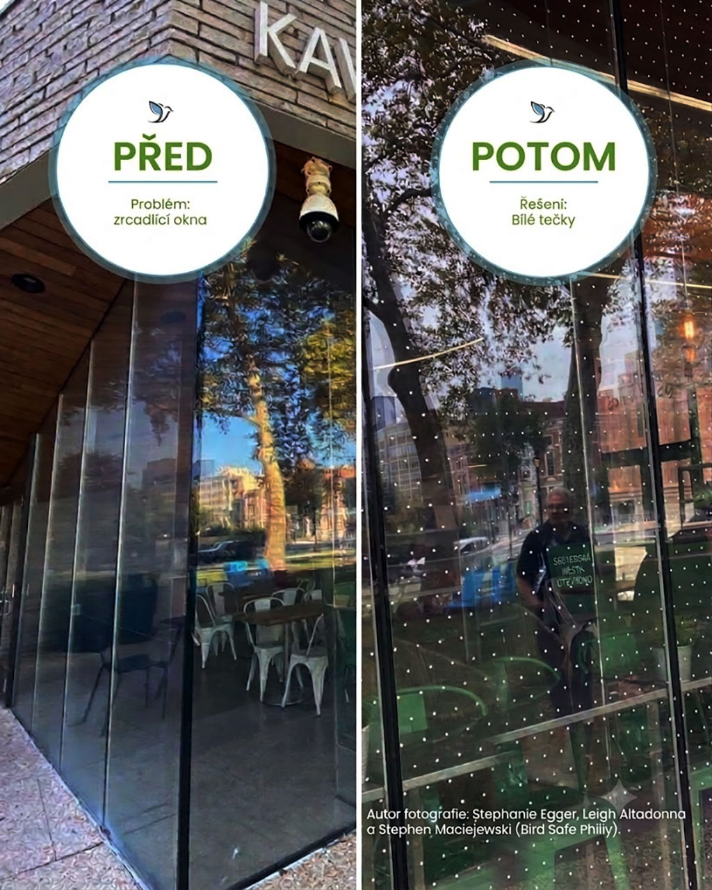 Predpo