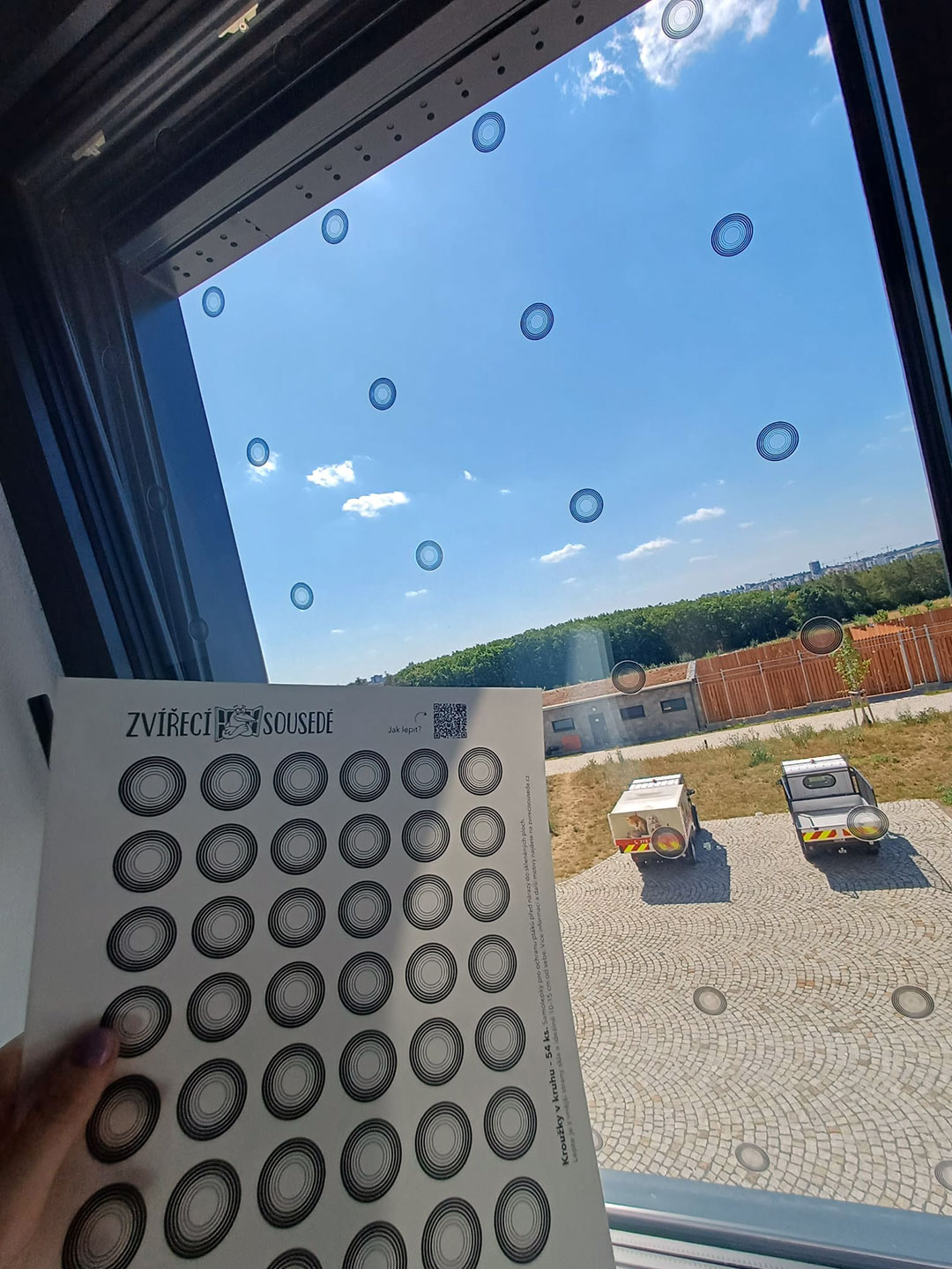 Mývalí rezident bedlivě sleduje instalaci