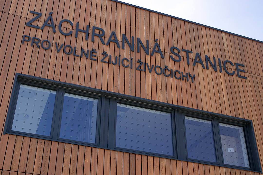 Instalace UV samolepek - Záchranná stanice hl. m. Prahy