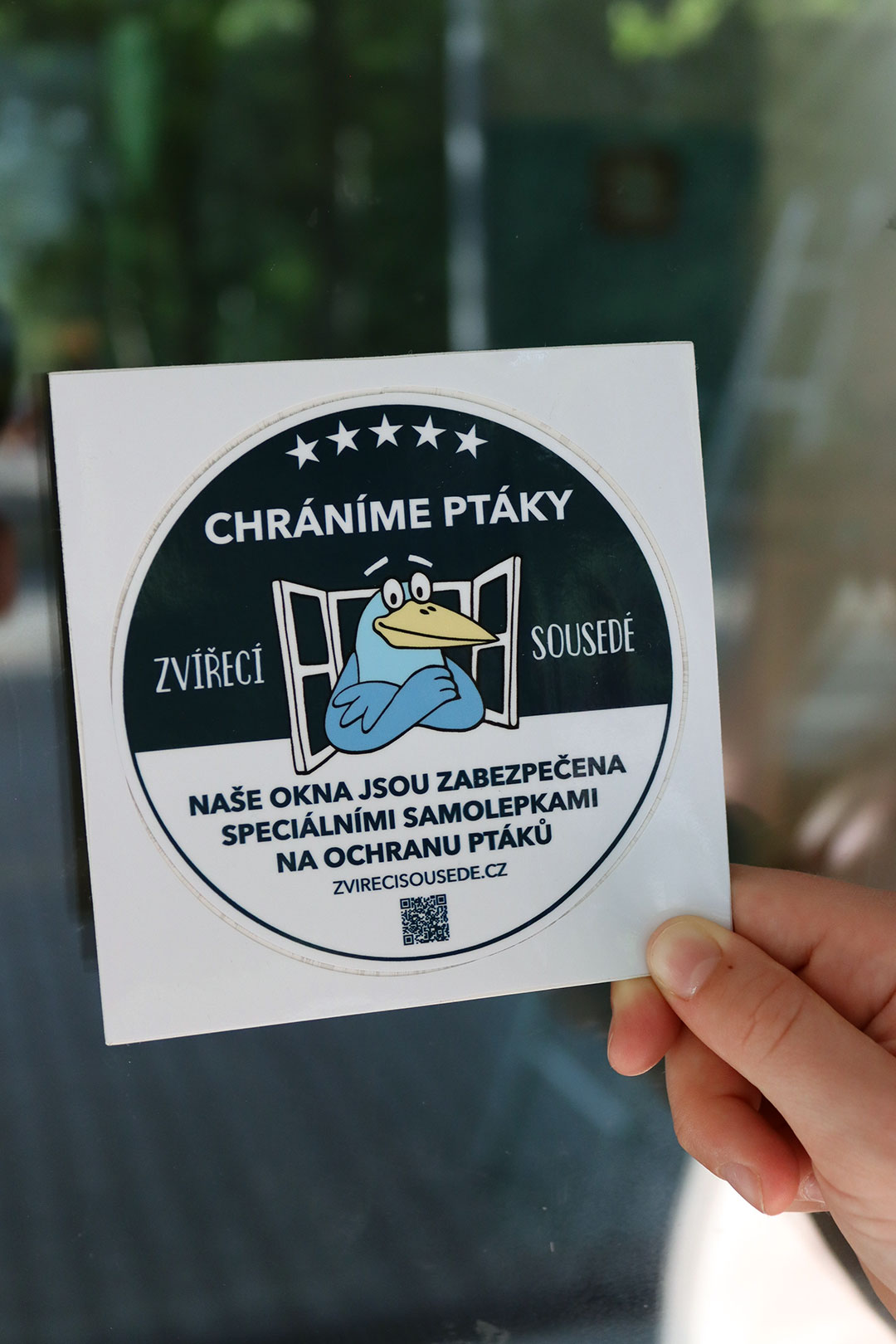 Realizace ochranného polepu v Masarykově ZŠ Klánovice – fotografie 3