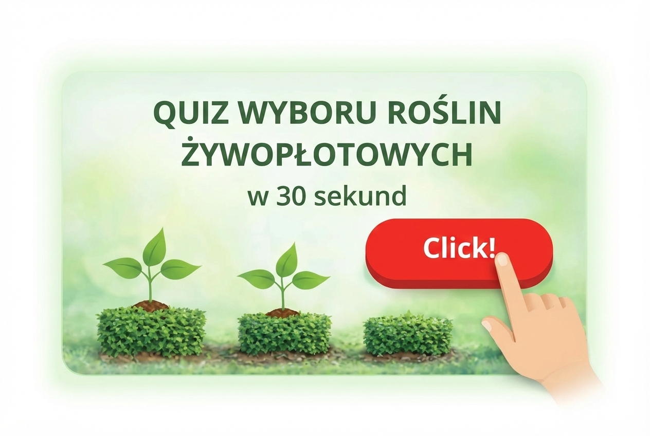 sovenyek-kivalasztasahoz-sovenykepek