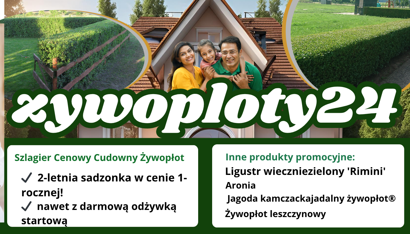 sovenyek-kivalasztasahoz-sovenykepek