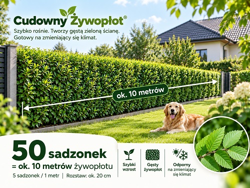 PL_2