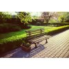 Privet hedge bench