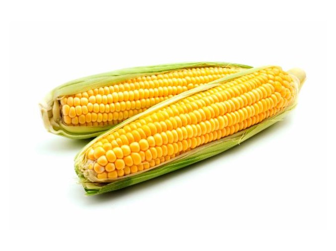 8ce0544512074499b98c0aa92a91858b