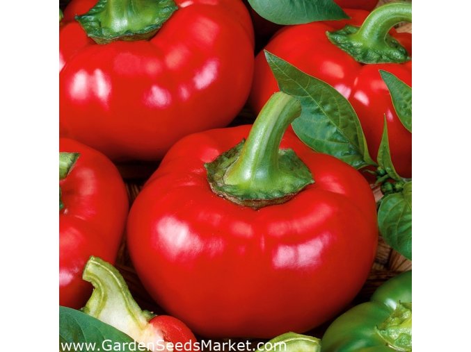 G4701980 140 010480m