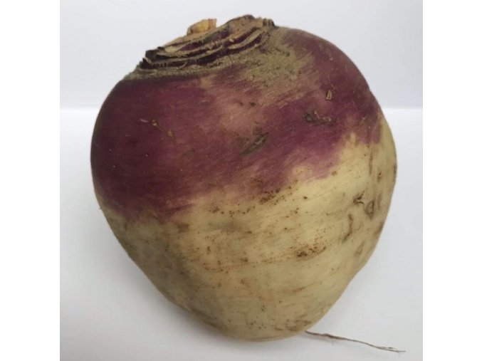 640x0 0 f8fc729e unnamed 1