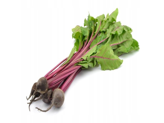 BOTVINKA CERSTVA BANDA