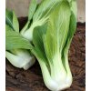 pak choi chifu f1 brassica rapa chinensis osivo pak choi 50 ks