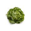salat