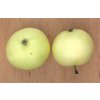1200px Yellow Transparent