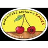 logo kares