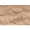 psyllium