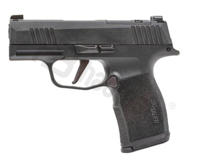 Snímek obrazovky 2025 02 24 115348